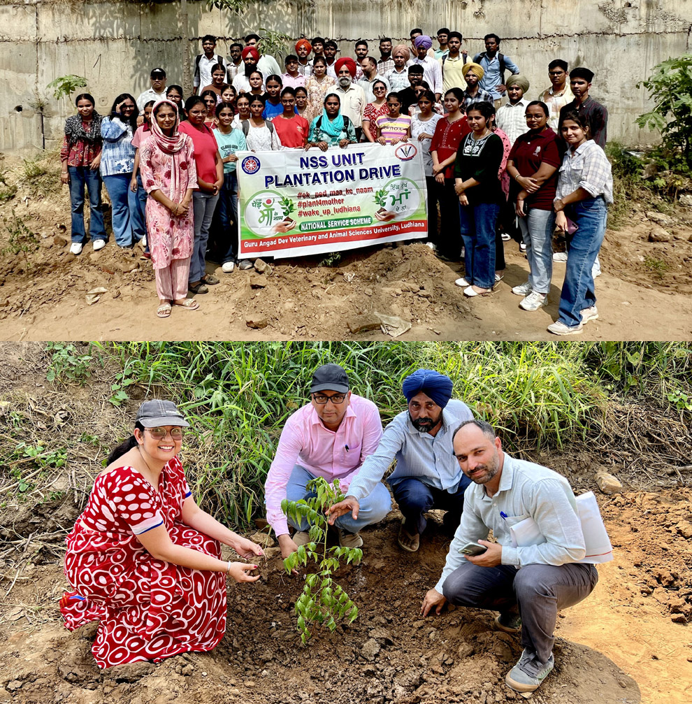 90 Neem trees planted to mark NSS Day at Vet Varsity